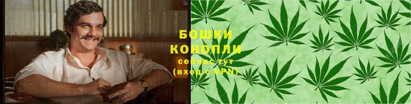 стафф Бородино