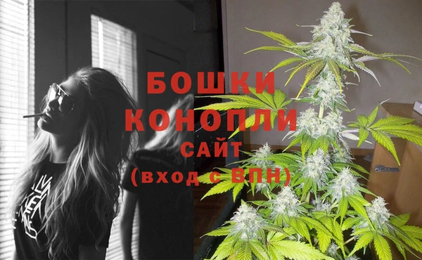 spice Бронницы