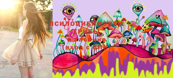 бошки Нижневартовск