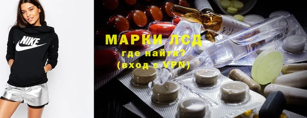 стафф Бородино