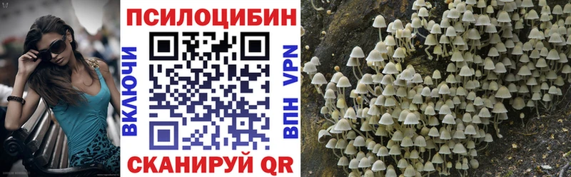 Купить  Артёмовский  Галлюциногенные грибы ЛСД 